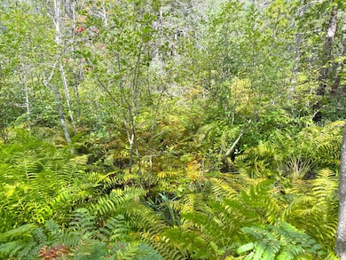 14599 N Whitefish Point Rd, Paradise, MI 49768 - photo 7