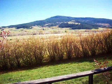 View to Green Mtn.