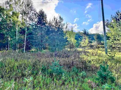 TBD Jordan Hills Dr unit Parcel 5, Echo Township, MI 49727 - photo 4