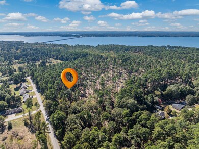 0 Pintail Lot 3, Flint, TX 75762 - photo 5