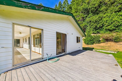 7300 Doody Ridge Rd, Garberville, CA 95542 - photo 5