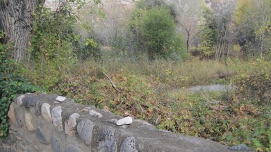 IMG_3916
