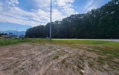 Additional View