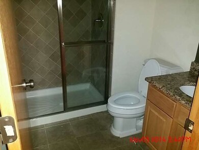 18761 Castle Dargan Dr, Country Club Hills, IL 60478 - photo 3