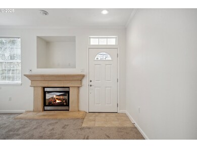 Fireplace Gas