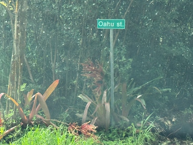 0 Oahu St unit 725788, Pahoa, HI 96778 - photo 4
