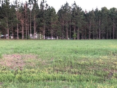 105 Paces Ln, Boston, GA 31626 - photo 5