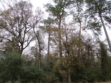 Lot 63 Willow Creek Rd, Hockley, TX 77447 - photo 4