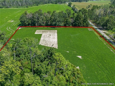 0 Rhonda Coleman Rd, Hazlehurst, GA 31539 - photo 6