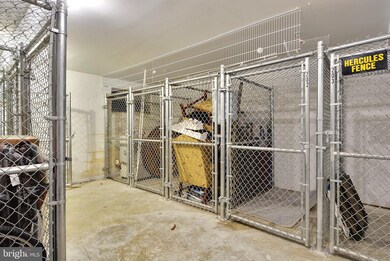 1138 Cove Rd unit 202, Annapolis, MD 21403 - photo 6