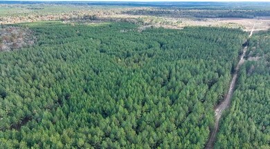 unlisted-address, Mize, MS 39116 - photo 4