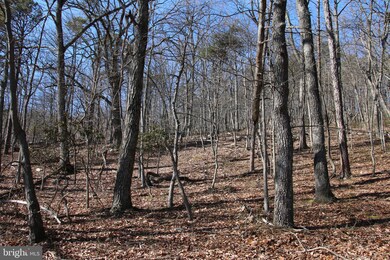 0 0 Back Rd, Toms Brook, VA 22660 - photo 3