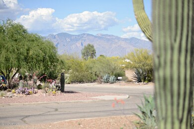 Mountain view from front
