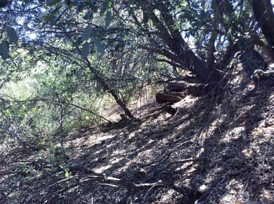 Steeper slope near road