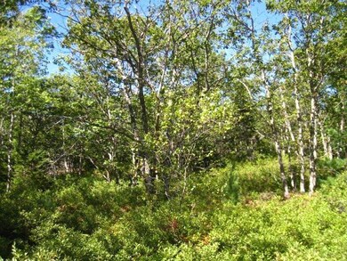Land/Lot.