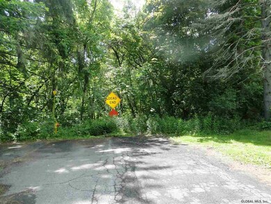 1 Tenbroeck St, Delmar, NY 12054 - photo 2