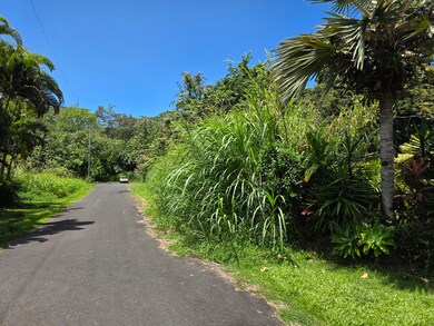 0 Oopu St unit 715884, Hawaiian Beaches, HI 96778 - photo 5