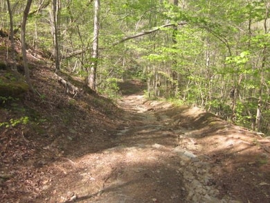On down the hill, we will be at the creek soon!