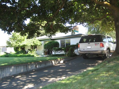 Huge healthy shade tree
