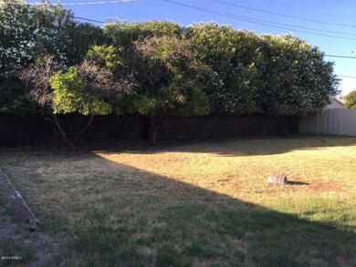Rear Yard
