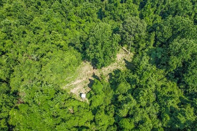 50 Proby Rd, Natchez, MS 39120 - photo 5