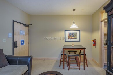 223 W Hunter Ridge Dr unit e208, Brian Head, UT 84719 - photo 4