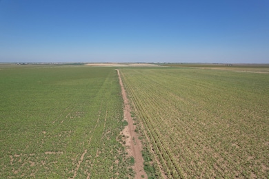 E County Road 5700, Idalou, TX 79329 - photo 3