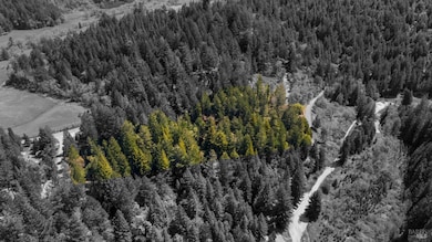 24680 Brooktrails Dr, Willits, CA 95490 - photo 5