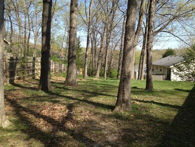 back yard