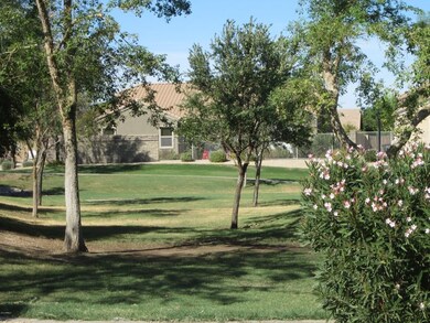 Across the Street Park Area
