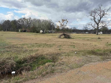 00 S 10th St unit South Tenth Street,, Clarendon, AR 72029 - photo 3