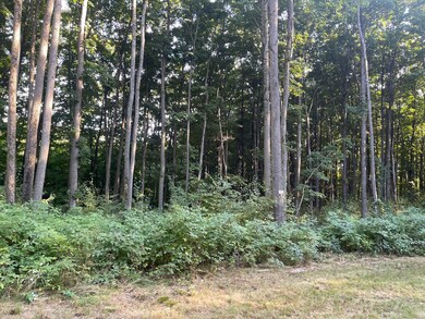 11234 White Ash Trail, Vanderbilt, MI 49795 - photo 5