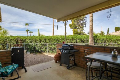 Back Patio
