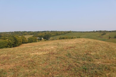 1272-X Moorefield Rd, Carlisle, KY 40311 - photo 5