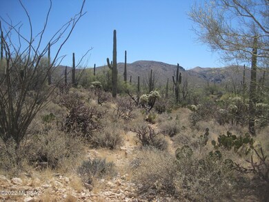 XX Derio, Marana, AZ 85658 - photo 5