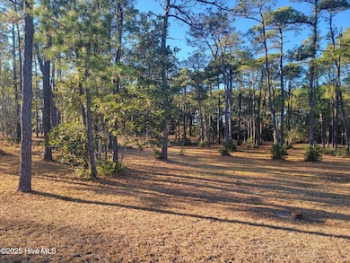 6727 Dunlowe Notch SW, Ocean Isle Beach, NC 28469 - photo 3