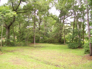 Lot View #2