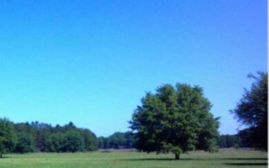 TBD 29th Rd, Branford, FL 32008 - photo 4