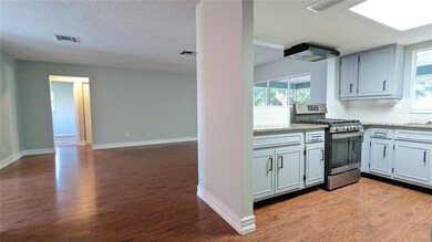 Living room and kitchen