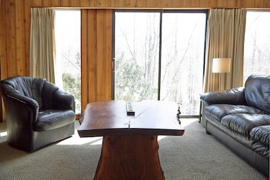 3 Bromley Forest Rd, Winhall, VT 05340 - photo 6