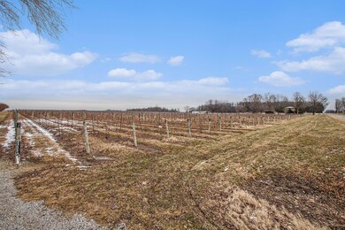 img_9534_729