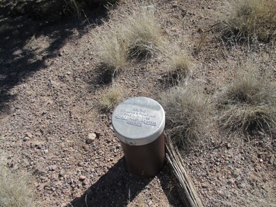 Wellhead