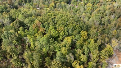 0 White Oak Rd, Cub Run, KY 42729 - photo 7