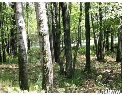 24251 E Hwy Cf, Augusta, WI 54722 - photo 4