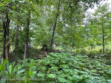 thumbnail_IMG_5402