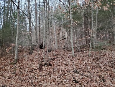 274 Main St, Orange, MA 01364 - photo 3