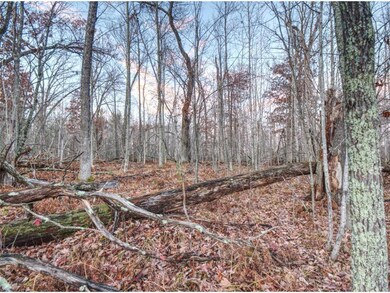 XXXX Aspen Hill Court Ct, Danbury, WI 54830 - photo 7