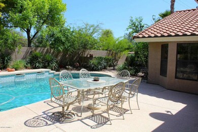 Backyard2