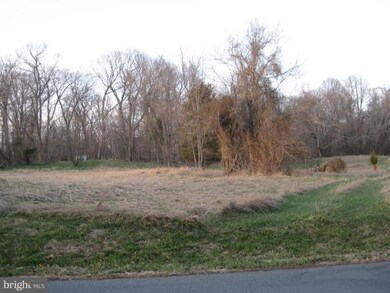 0 Steamboat Run Rd unit 1004352034, Shepherdstown, WV 25443 - photo 2