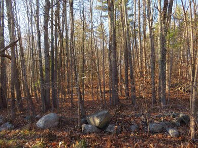 00 Ossipee Mountain Rd unit 7.2, Moultonborough, NH 03254 - photo 2